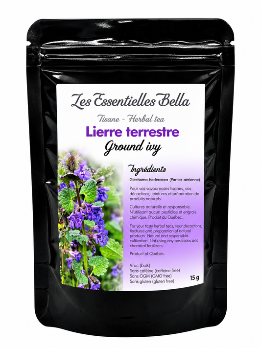 Lierre terrestre (Ground ivy)