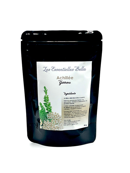 Achillée millefeuille