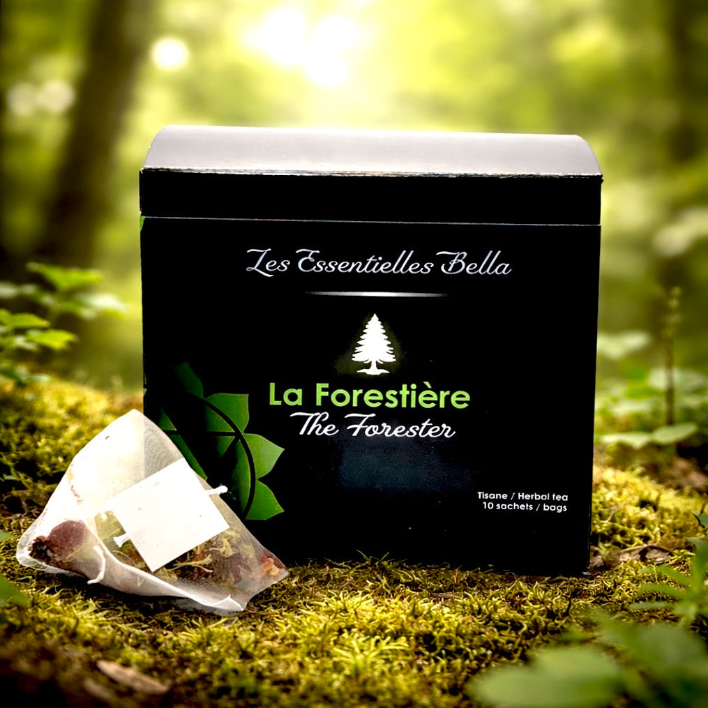 Boîtier tisane québécoise: La forestière