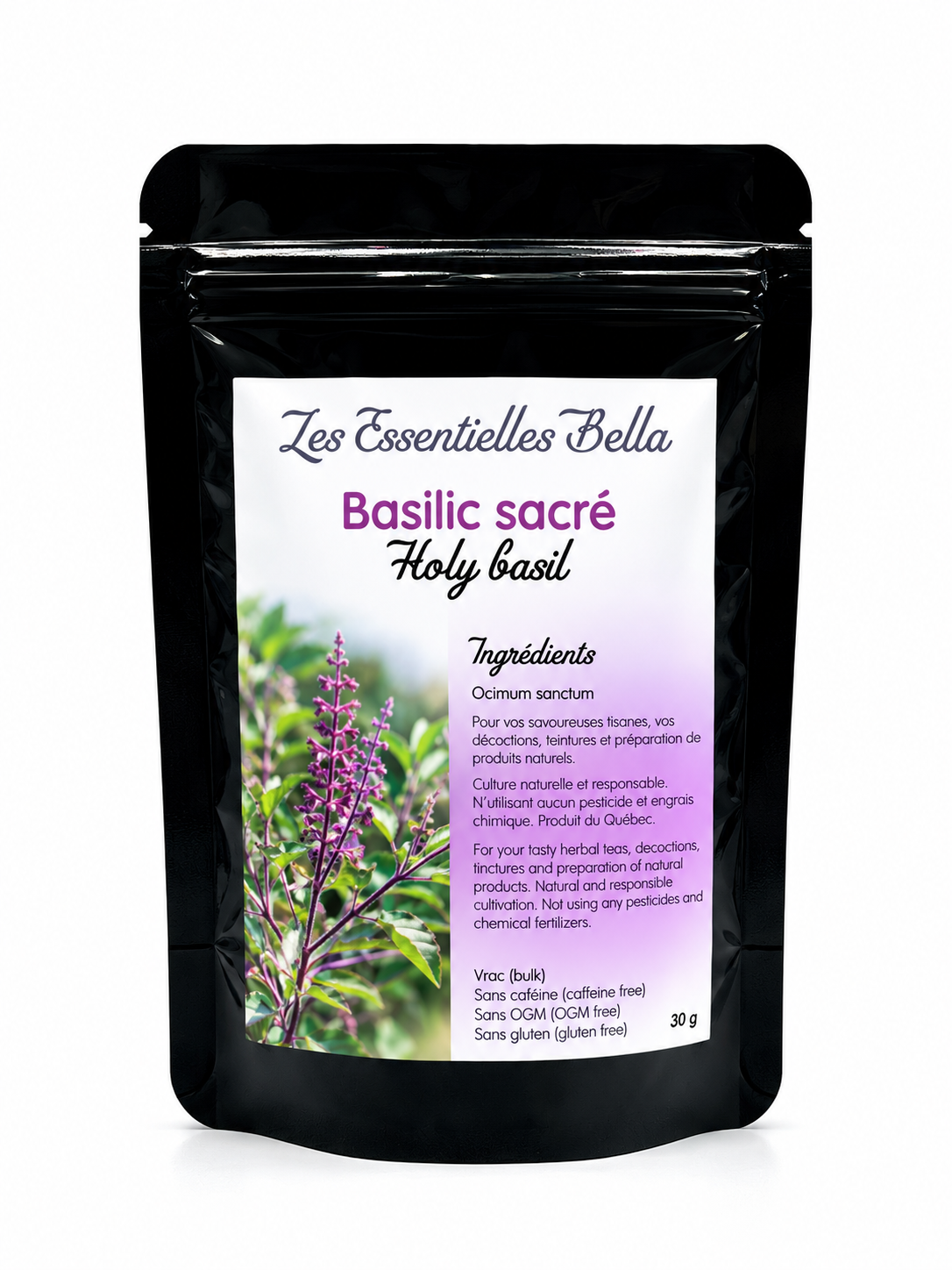 Basilic sacré