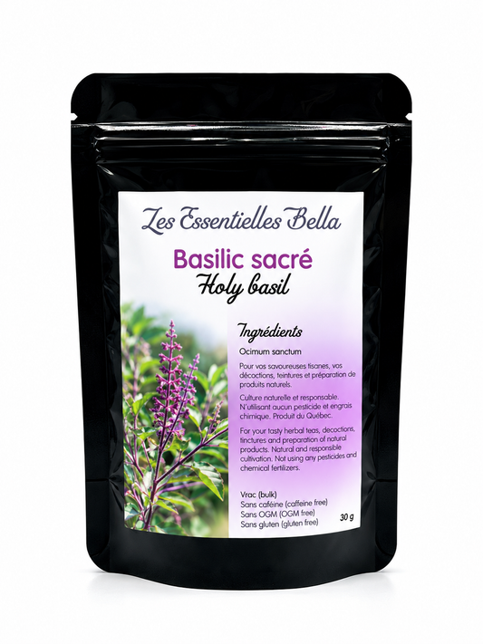 Basilic sacré