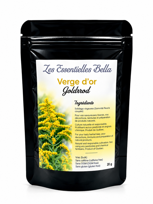 Verge d'or (fleur)