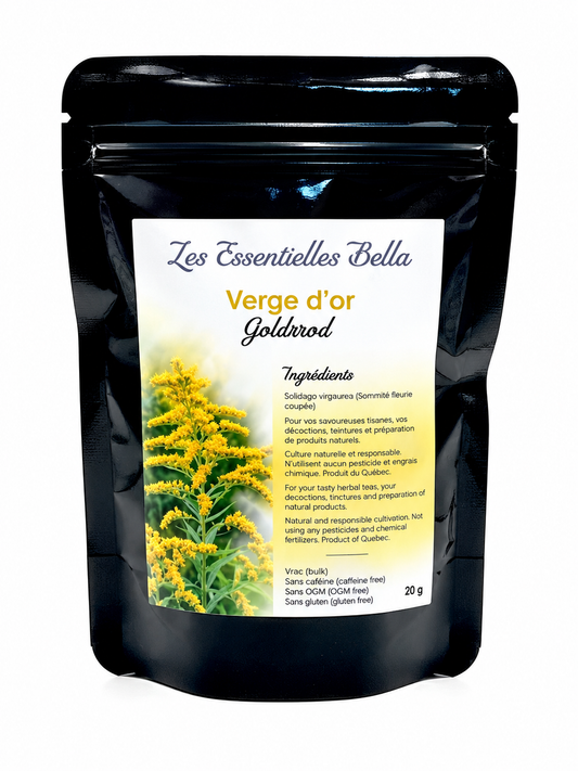 Verge d'or (fleur)