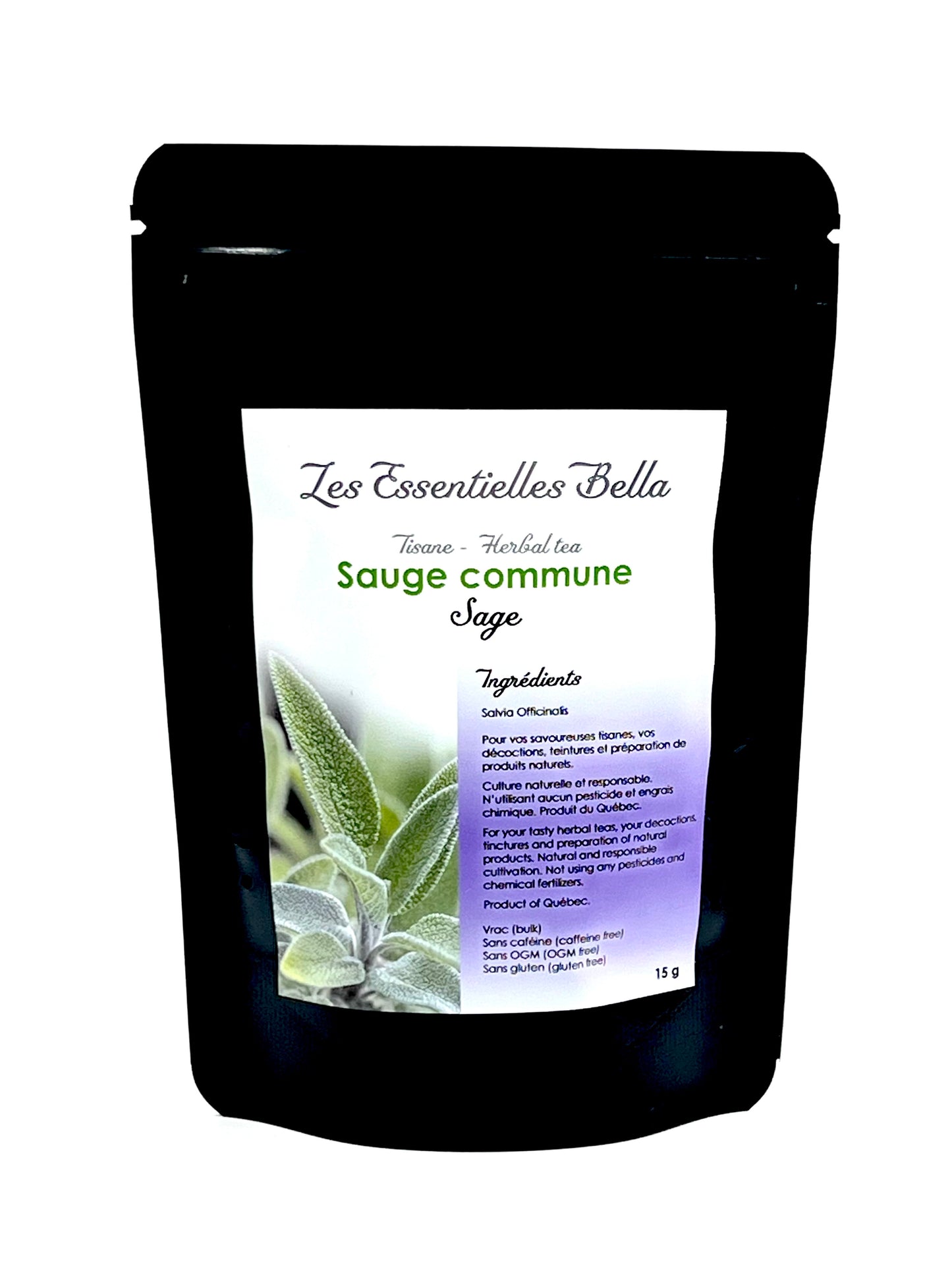 Sauge officinale (Common sage)