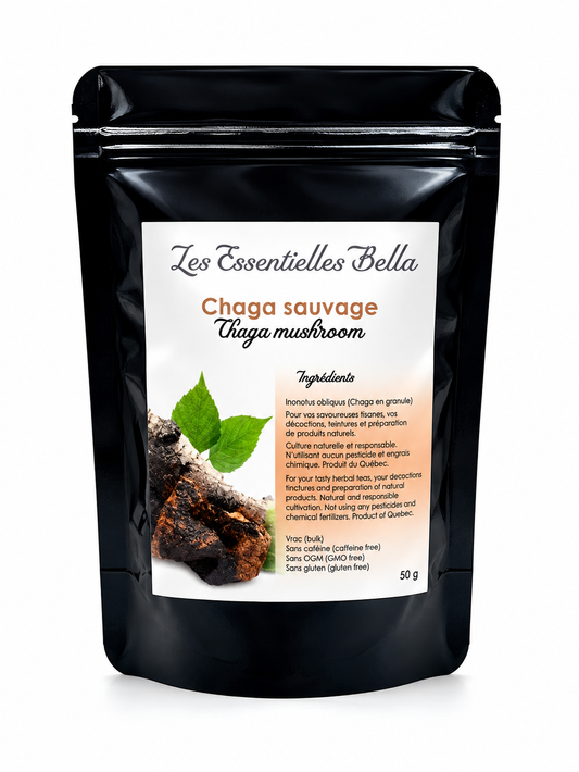 Chaga sauvage