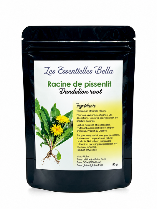 Pissenlit (racine)
