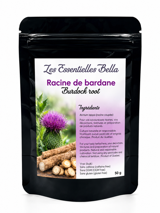 Bardane (racine)