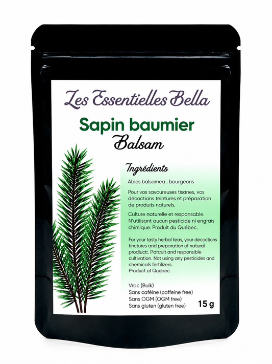 Sapin baumier (Pousse)