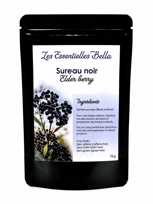 Sureau noir