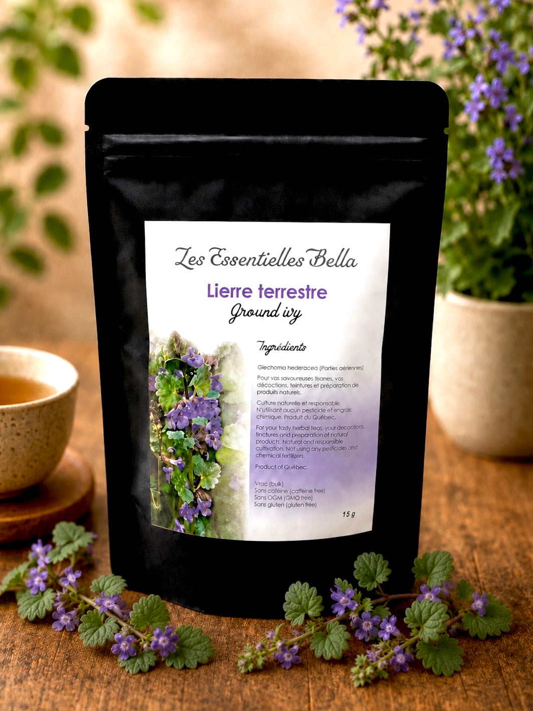 Lierre terrestre (Ground ivy)