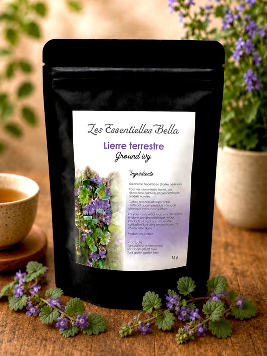 Lierre terrestre (Ground ivy)
