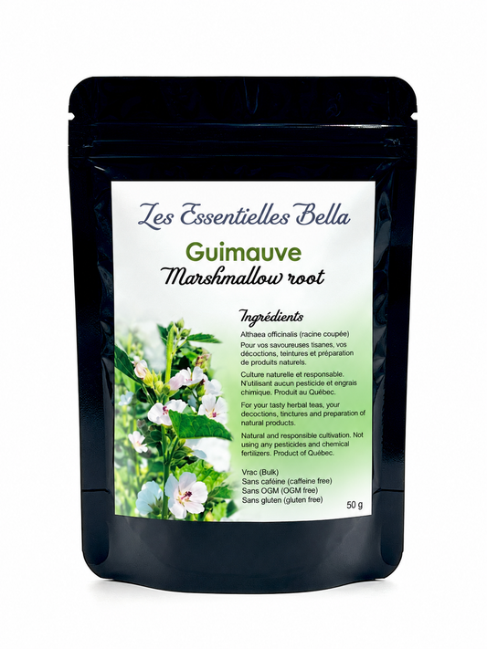 Guimauve (racine)