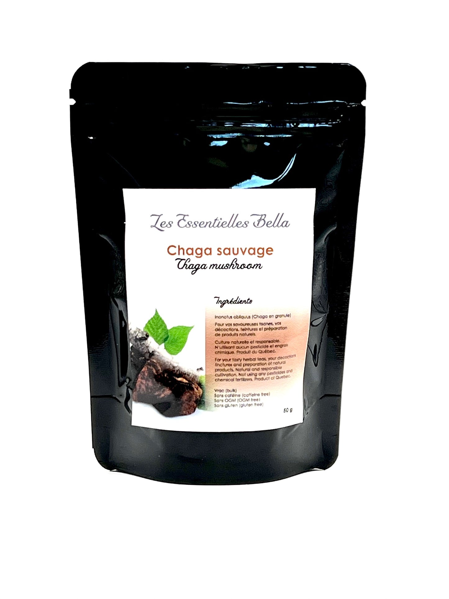 Chaga sauvage