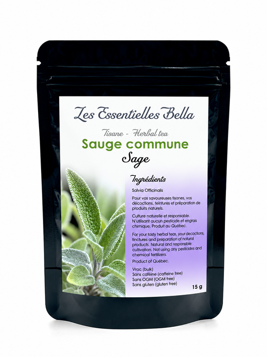 Sauge officinale (Common sage)