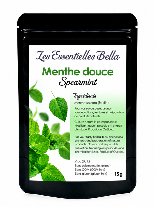 Menthe douce (verte) feuille