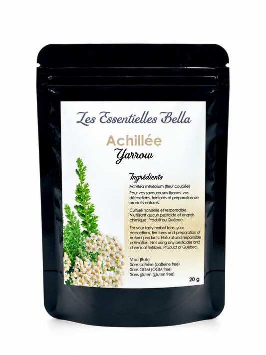 Achillée millefeuille