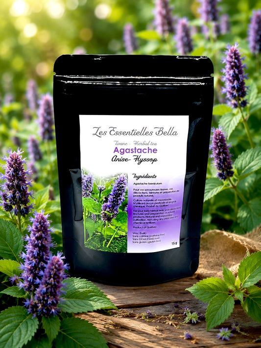 Agastache (Anise-hyssop)