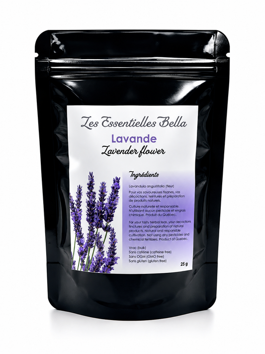 Lavande (fleur)