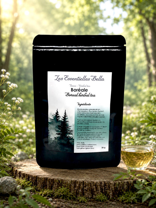 Tisane boréale