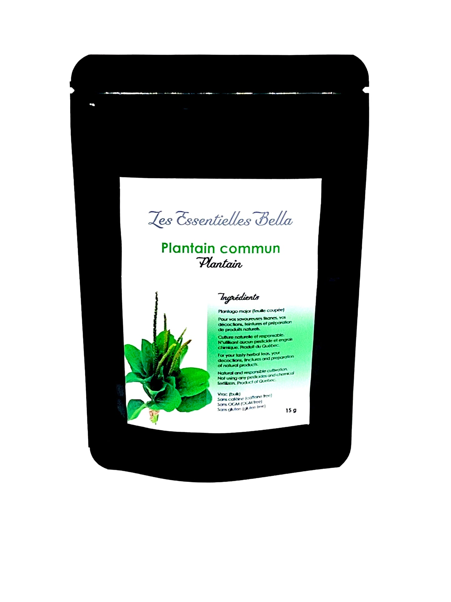 Plantain commun (feuille)