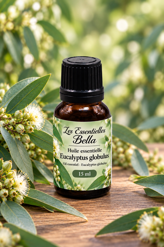 Huile essentielle Eucalyptus